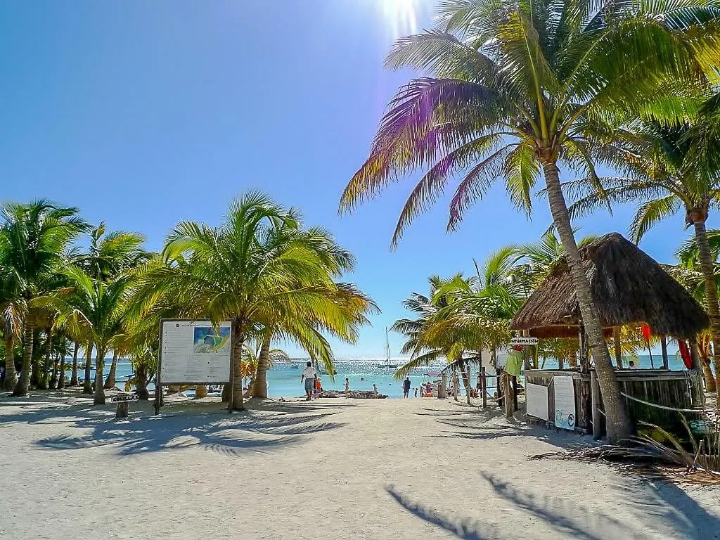 Fantastic Condo With Balcony, High Speed Internet, Pool Facilities In Akumal Διαμέρισμα